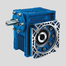 Worm Gearbox Manufacturer in Delhi