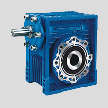 Worm Gearbox Manufacturer in Delhi